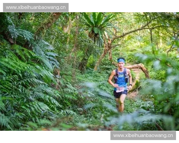 跳水运动的魅力与挑战:从技巧训练到赛事背后的心理博弈 跳水运动的魅力与挑战:从技巧训练到赛事背后的心理博弈