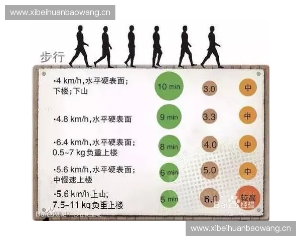 功能性运动训练提升身体机能与运动表现的科学方法与实践路径